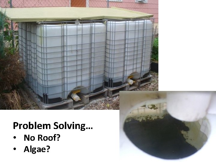 Problem Solving… • No Roof? • Algae? 