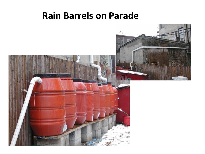 Rain Barrels on Parade 