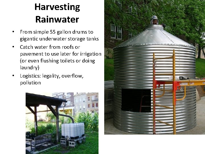 Harvesting Rainwater • From simple 55 gallon drums to gigantic underwater storage tanks •