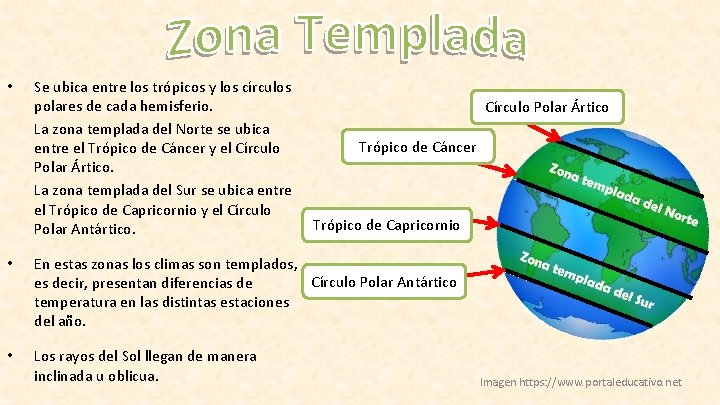  • Se ubica entre los trópicos y los círculos polares de cada hemisferio.