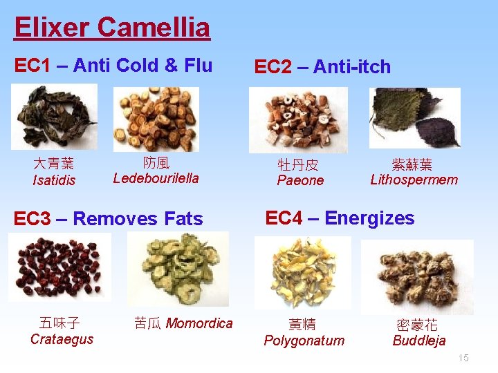 Elixer Camellia EC 1 – Anti Cold & Flu 大青葉 Isatidis 防風 Ledebourilella EC