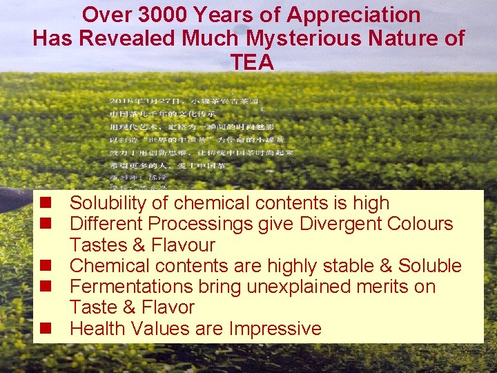 Over 3000 Years of Appreciation Has Revealed Much Mysterious Nature of TEA n Solubility