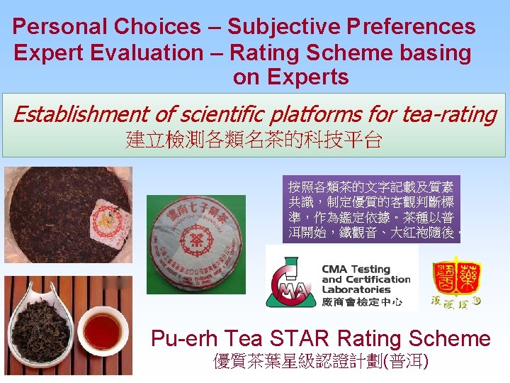 Personal Choices – Subjective Preferences Expert Evaluation – Rating Scheme basing on Experts Establishment