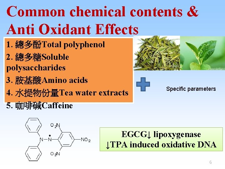 Common chemical contents & Anti Oxidant Effects 1. 總多酚Total polyphenol 2. 總多糖Soluble polysaccharides 3.