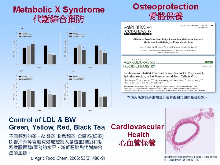 Metabolic X Syndrome 代謝綜合預防 Osteoprotection 骨骼保養 Control of LDL & BW Green, Yellow, Red,