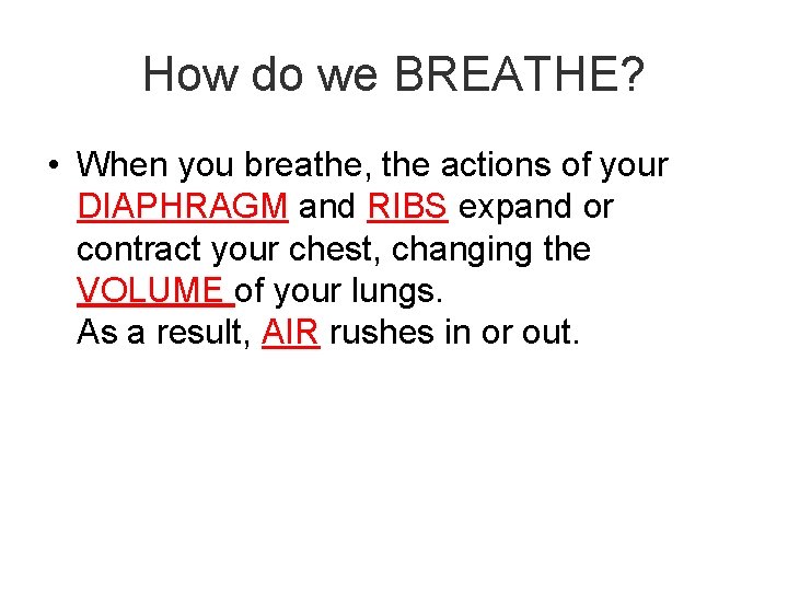 How do we BREATHE? • When you breathe, the actions of your DIAPHRAGM and