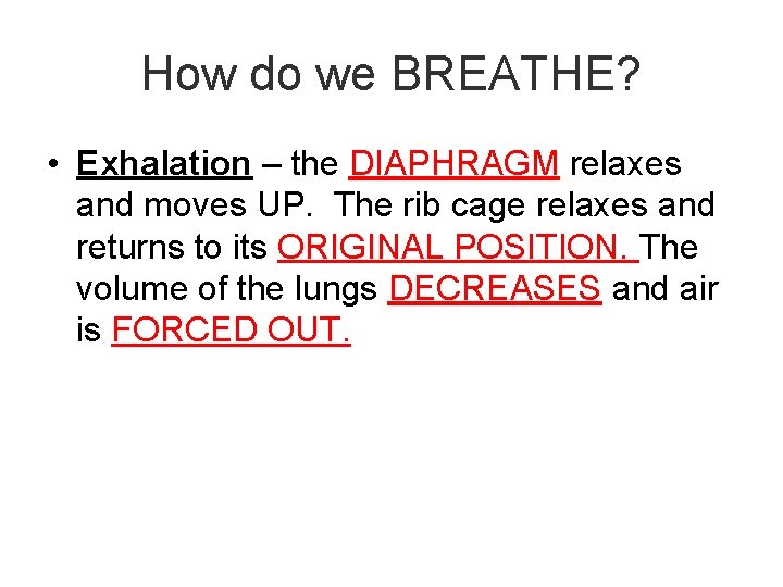 How do we BREATHE? • Exhalation – the DIAPHRAGM relaxes and moves UP. The