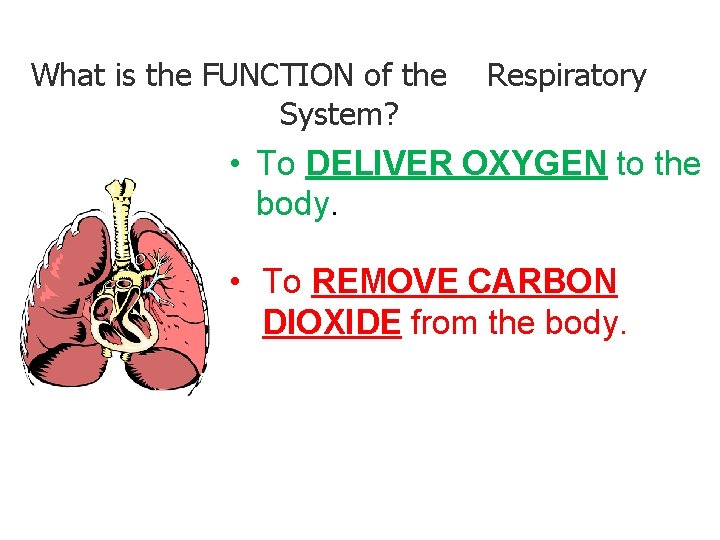 - Breathe in and out… What is the FUNCTION of the System? Respiratory •