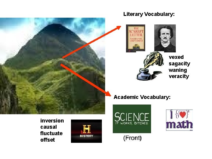 Literary Vocabulary: vexed sagacity waning veracity Academic Vocabulary: inversion causal fluctuate offset 