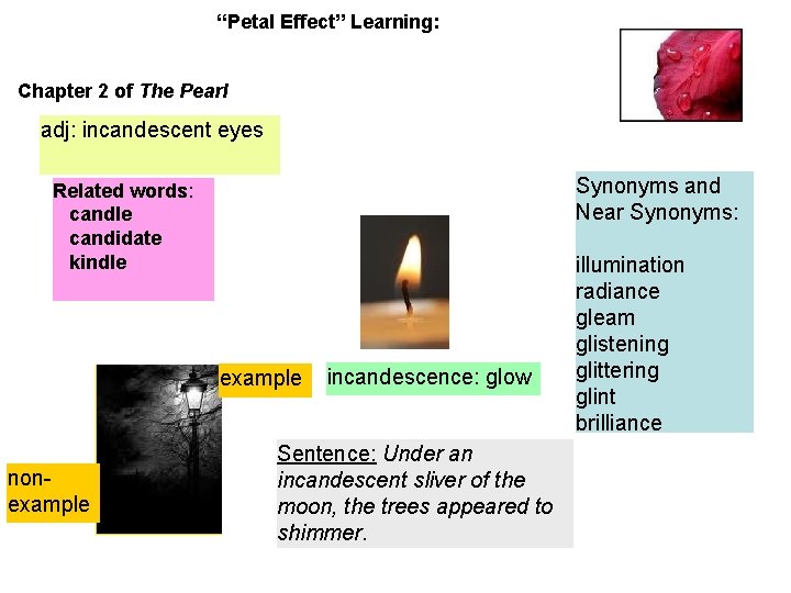 “Petal Effect” Learning: Chapter 2 of The Pearl adj: incandescent eyes Synonyms and Near