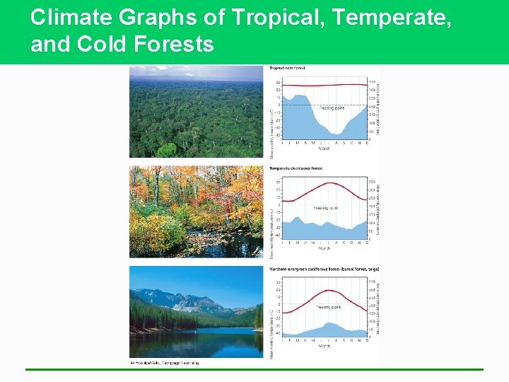 Climate Graphs of Tropical, Temperate, and Cold Forests 