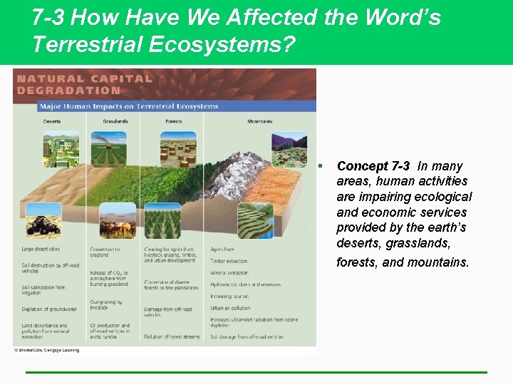 7 -3 How Have We Affected the Word’s Terrestrial Ecosystems? § Concept 7 -3