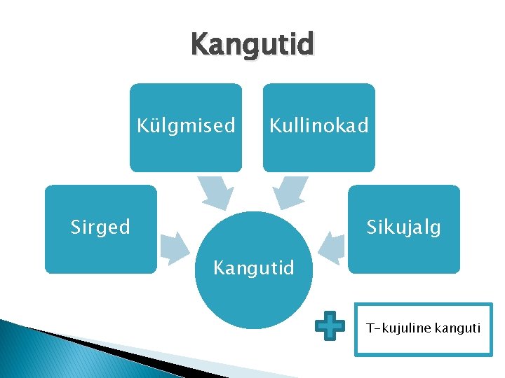 Kangutid Külgmised Kullinokad Sirged Sikujalg Kangutid T-kujuline kanguti 