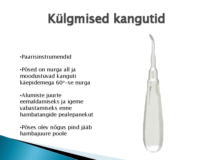 Külgmised kangutid • Paarisinstrumendid • Põsed on nurga all ja moodustuvad kanguti käepidemega 60