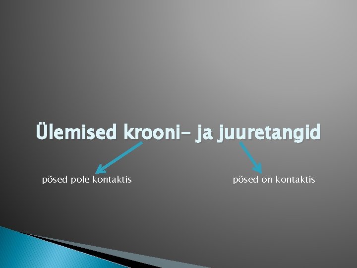 Ülemised krooni- ja juuretangid põsed pole kontaktis põsed on kontaktis 