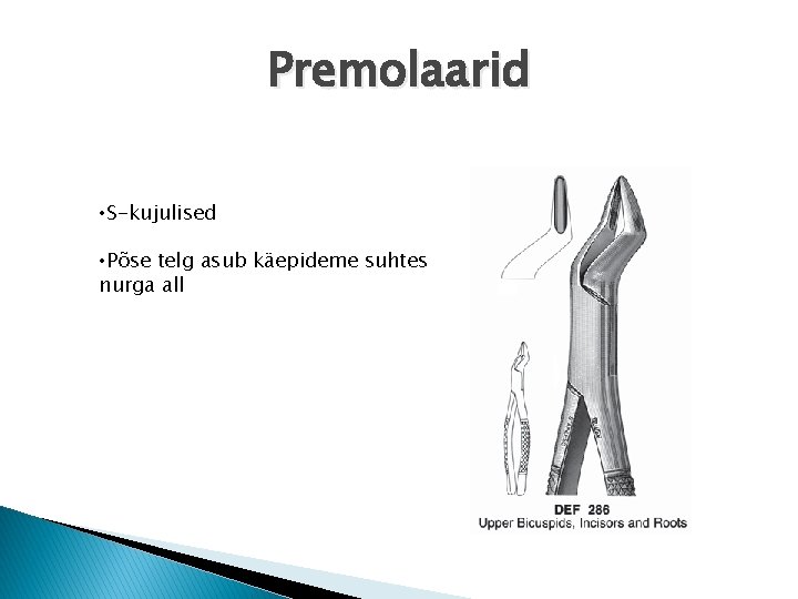 Premolaarid • S-kujulised • Põse telg asub käepideme suhtes nurga all 