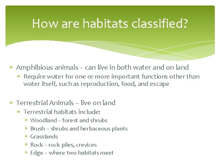 How are habitats classified? Amphibious animals – can live in both water and on