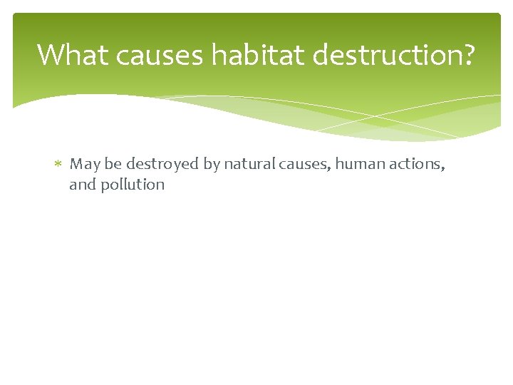 What causes habitat destruction? May be destroyed by natural causes, human actions, and pollution