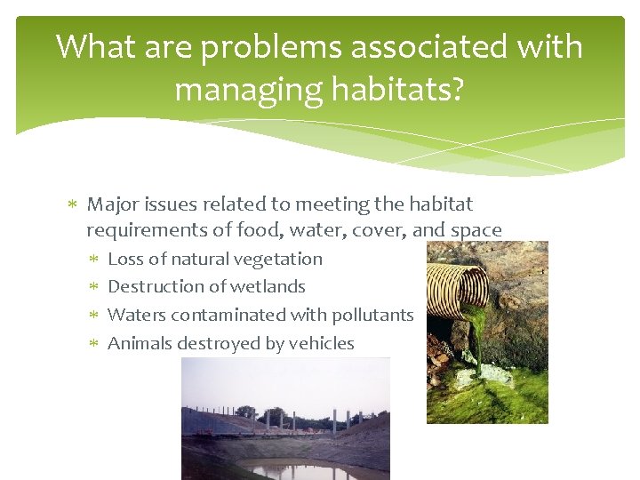 What are problems associated with managing habitats? Major issues related to meeting the habitat