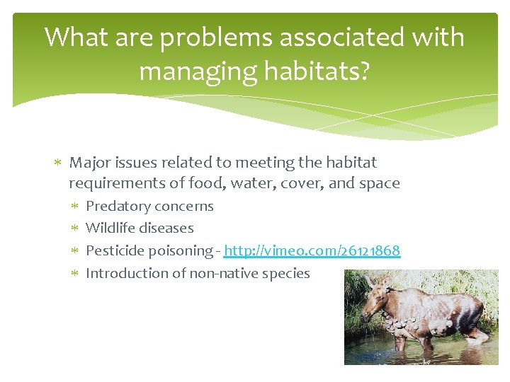 What are problems associated with managing habitats? Major issues related to meeting the habitat