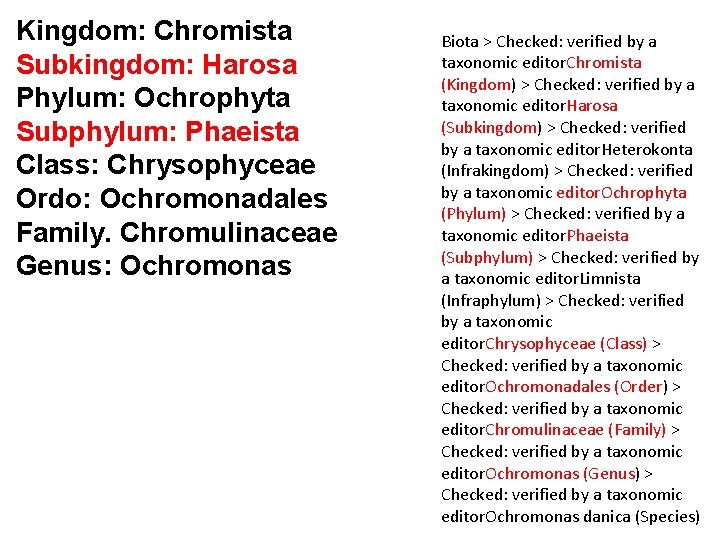 Kingdom: Chromista Subkingdom: Harosa Phylum: Ochrophyta Subphylum: Phaeista Class: Chrysophyceae Ordo: Ochromonadales Family. Chromulinaceae