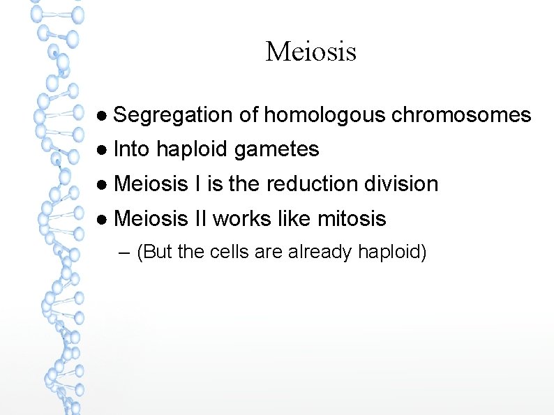 Meiosis ● Segregation of homologous chromosomes ● Into haploid gametes ● Meiosis I is