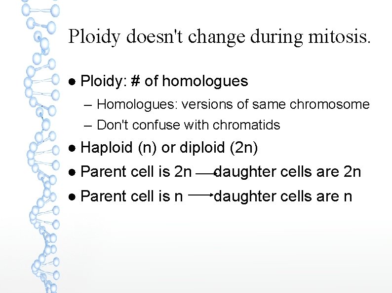 Ploidy doesn't change during mitosis. ● Ploidy: # of homologues – Homologues: versions of