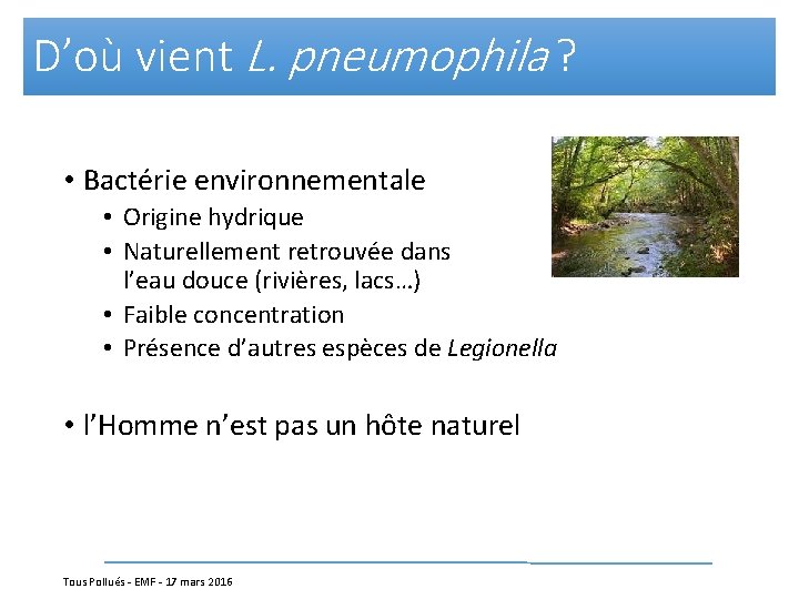 D’où vient L. pneumophila ? • Bactérie environnementale • Origine hydrique • Naturellement retrouvée