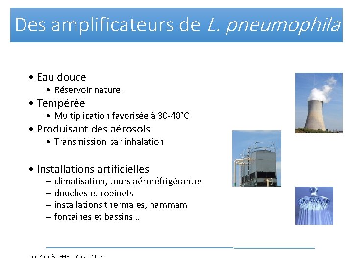 Des amplificateurs de L. pneumophila • Eau douce • Réservoir naturel • Tempérée •