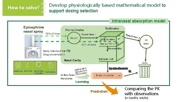 How to solve? Develop physiologically based mathematical model to support dosing selection Intranasal absorption