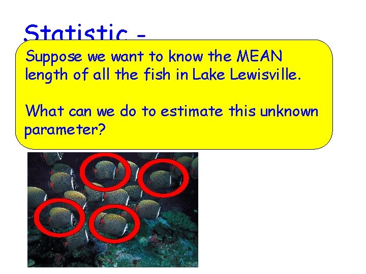 Statistic - Suppose we want to know the MEAN length of calculated all the