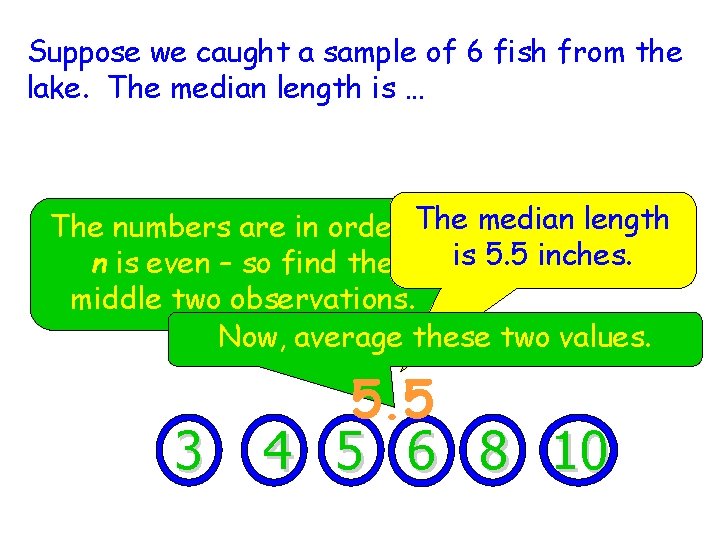 Suppose we caught a sample of 6 fish from the lake. The median length