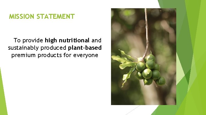 MISSION STATEMENT To provide high nutritional and sustainably produced plant-based premium products for everyone