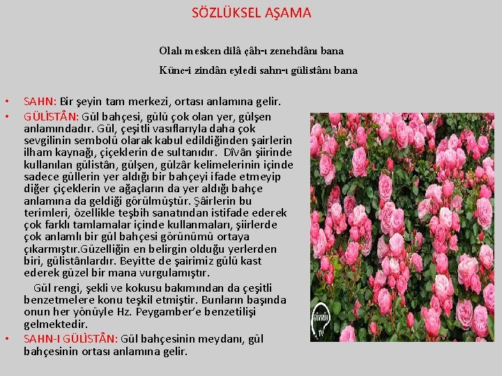 SÖZLÜKSEL AŞAMA Olalı mesken dilâ çâh-ı zenehdânı bana Künc-i zindân eyledi sahn-ı gülistânı bana