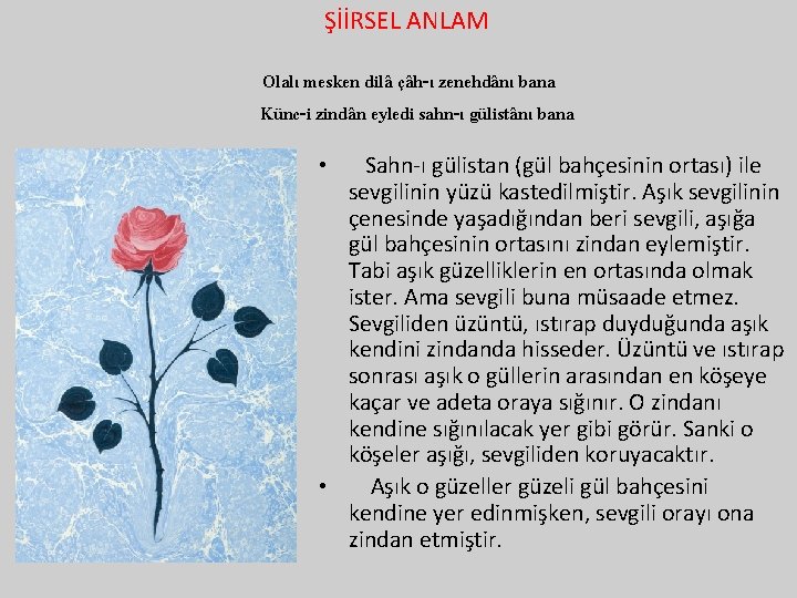 ŞİİRSEL ANLAM Olalı mesken dilâ çâh-ı zenehdânı bana Künc-i zindân eyledi sahn-ı gülistânı bana