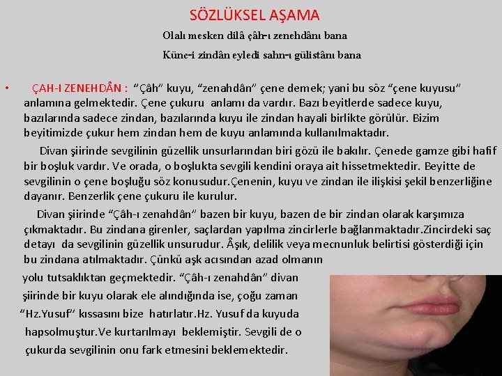 SÖZLÜKSEL AŞAMA Olalı mesken dilâ çâh-ı zenehdânı bana Künc-i zindân eyledi sahn-ı gülistânı bana