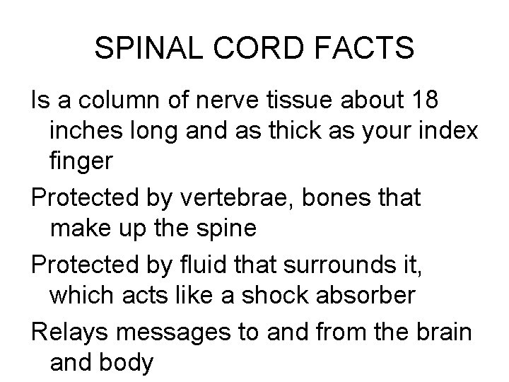 SPINAL CORD FACTS Is a column of nerve tissue about 18 inches long and