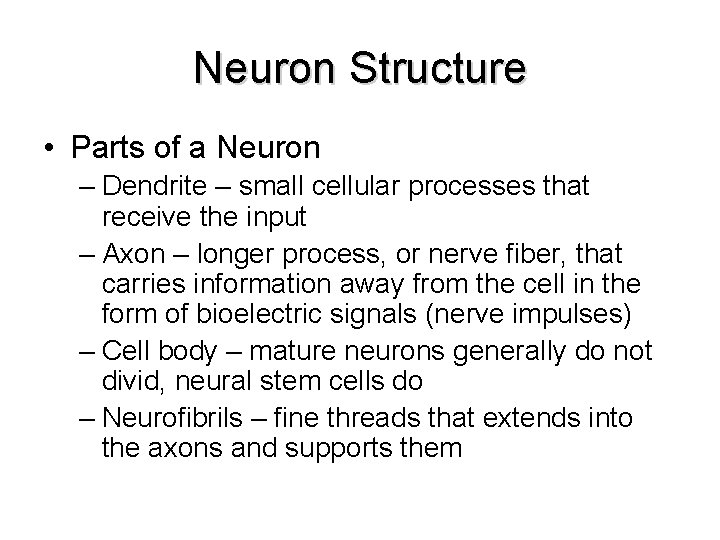Neuron Structure • Parts of a Neuron – Dendrite – small cellular processes that