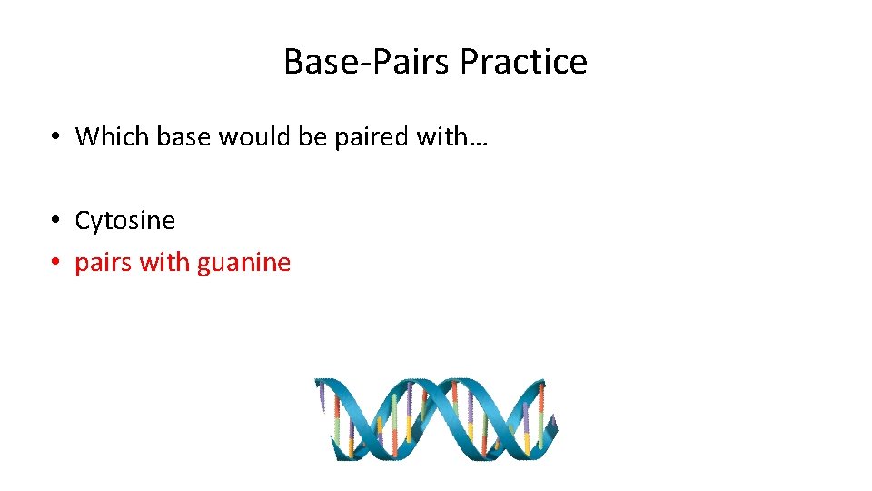 Base-Pairs Practice • Which base would be paired with… • Cytosine • pairs with