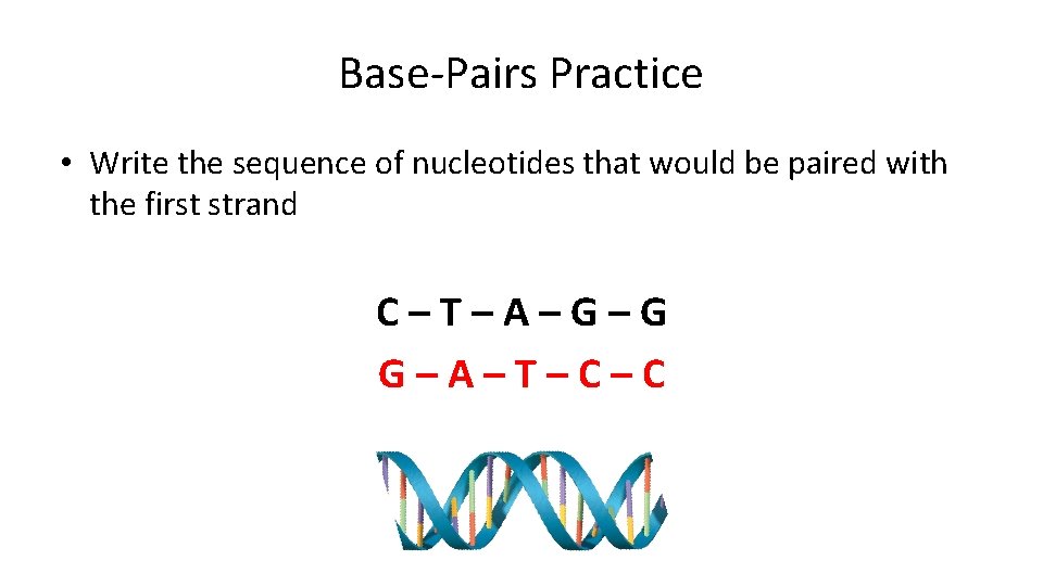 Base-Pairs Practice • Write the sequence of nucleotides that would be paired with the