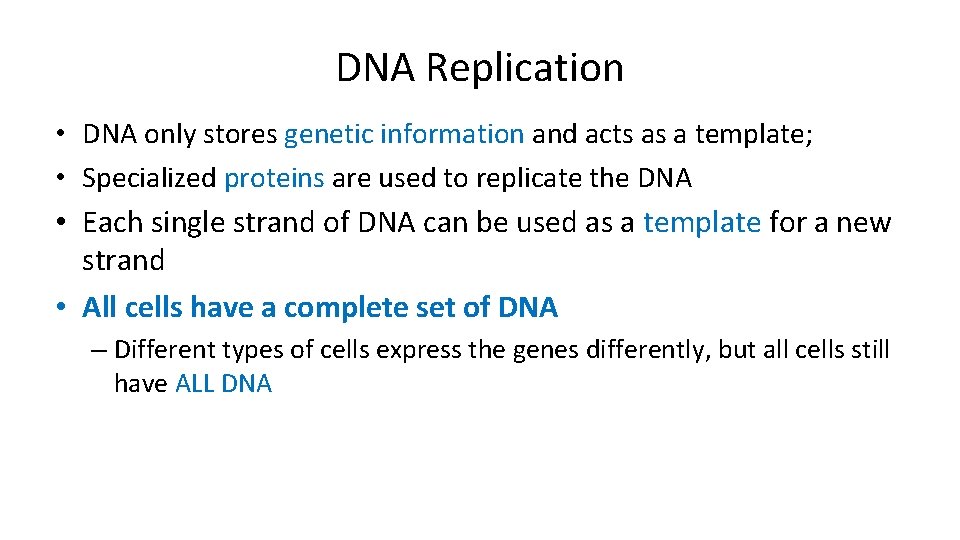 DNA Replication • DNA only stores genetic information and acts as a template; •