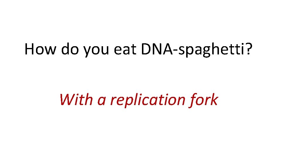 How do you eat DNA-spaghetti? With a replication fork 