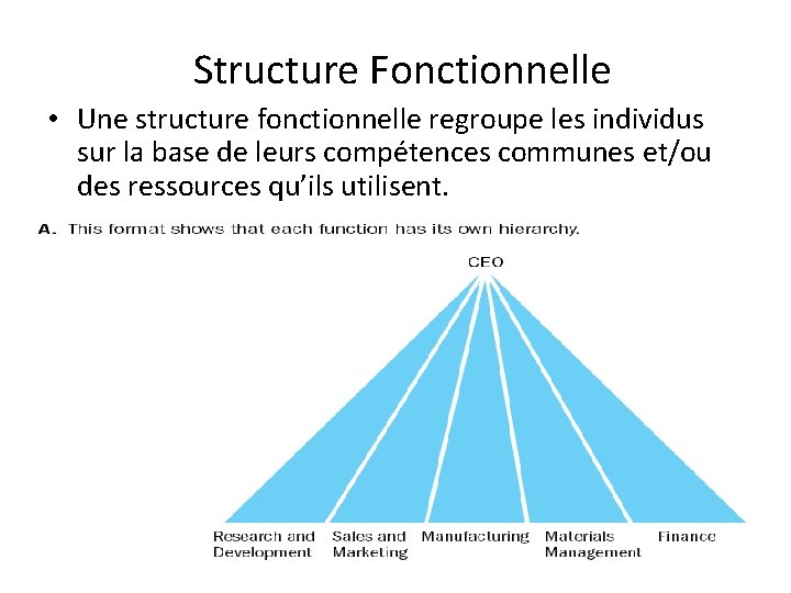 Structure Fonctionnelle • Une structure fonctionnelle regroupe les individus sur la base de leurs