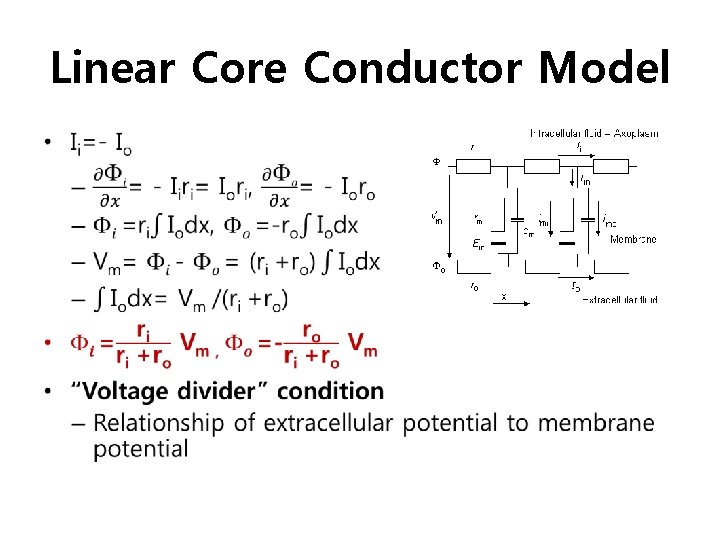 Linear Core Conductor Model • 