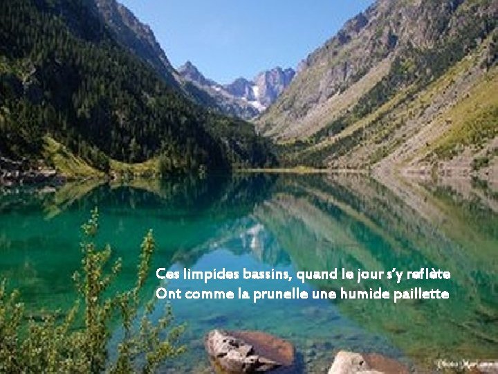 Ces limpides bassins, quand le jour s’y reflète Ont comme la prunelle une humide