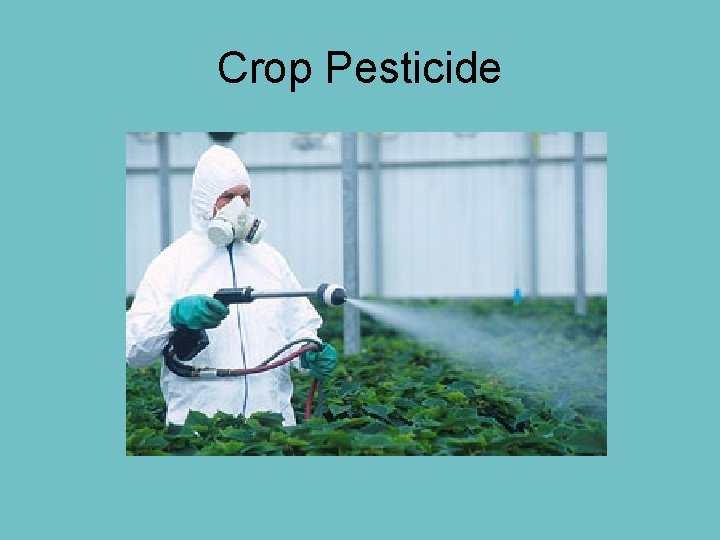 Crop Pesticide Crop Pesticide