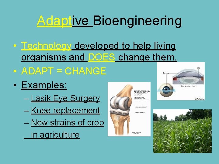 Adaptive Bioengineering • Technology developed to help living organisms and DOES change them. • Adaptive Bioengineering • Technology developed to help living organisms and DOES change them. •