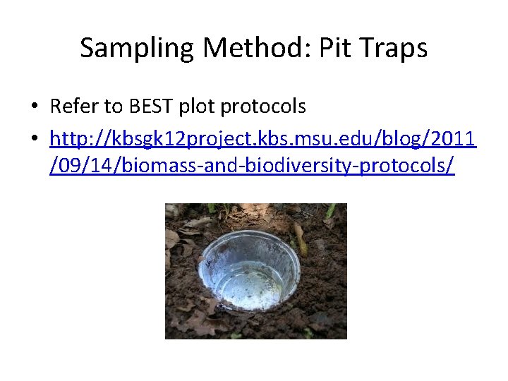 Sampling Method: Pit Traps • Refer to BEST plot protocols • http: //kbsgk 12