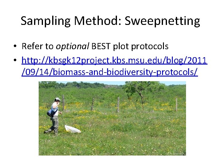 Sampling Method: Sweepnetting • Refer to optional BEST plot protocols • http: //kbsgk 12