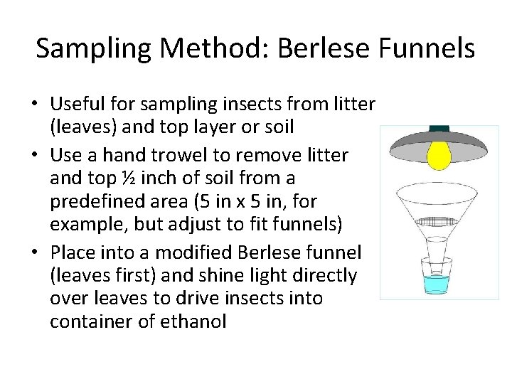 Sampling Method: Berlese Funnels • Useful for sampling insects from litter (leaves) and top